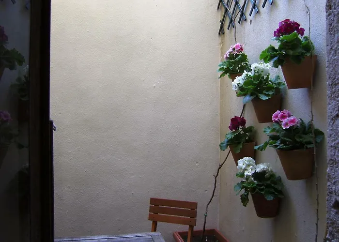 Apartament Estrela Park